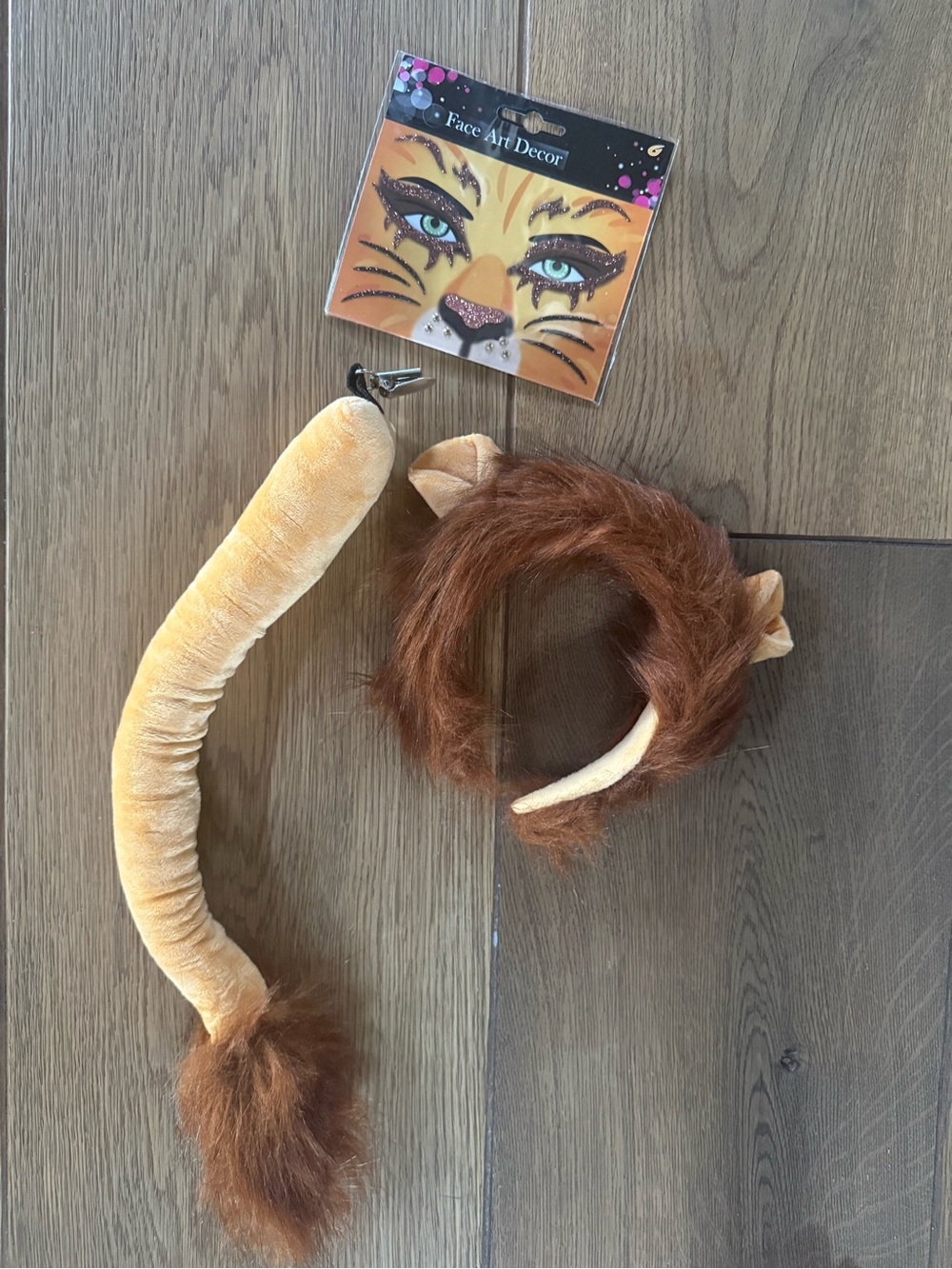 Kids Lion Costume Bundle